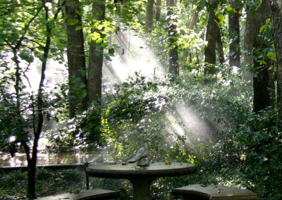 Sept 2008 (67) - 3x4