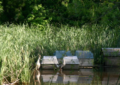 May 2008 042 - 3x4